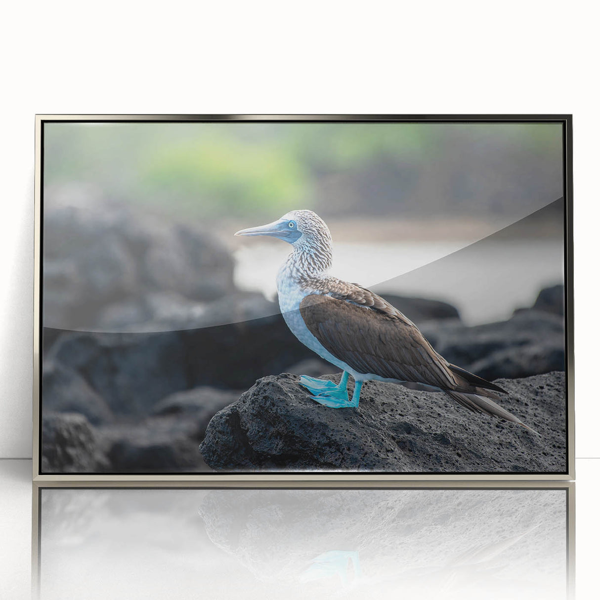 Mid-century modernist art depicting Galapagos scenery in acrylic, framed in silver, suitable for nursery wall art.