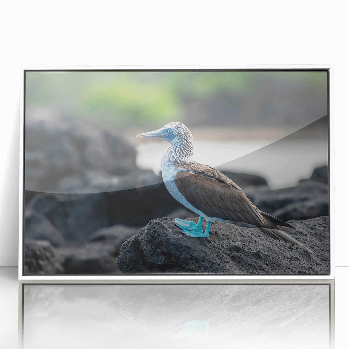 Art deco poster of Galapagos scenery in muted earth tones on white framed acrylic, suitable for modern nursery wall art.