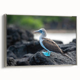 Landscape art painting of the Galapagos Islands on framed canvas.