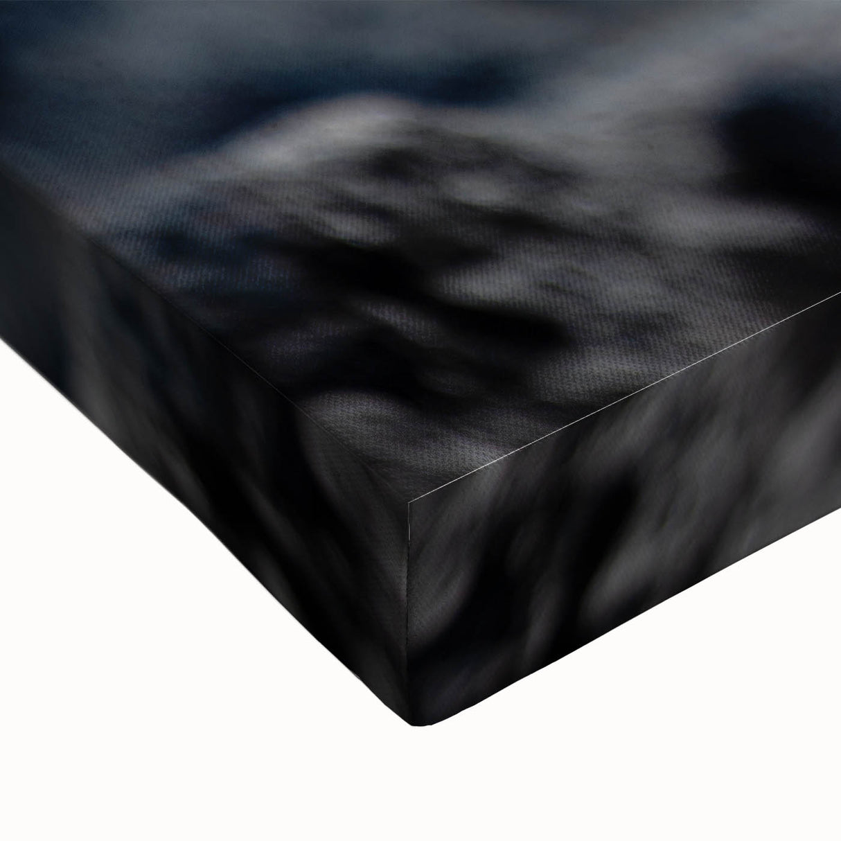 Large black and white stretched canvas featuring a serene Galapagos landscape, ideal for bedroom wall decor.