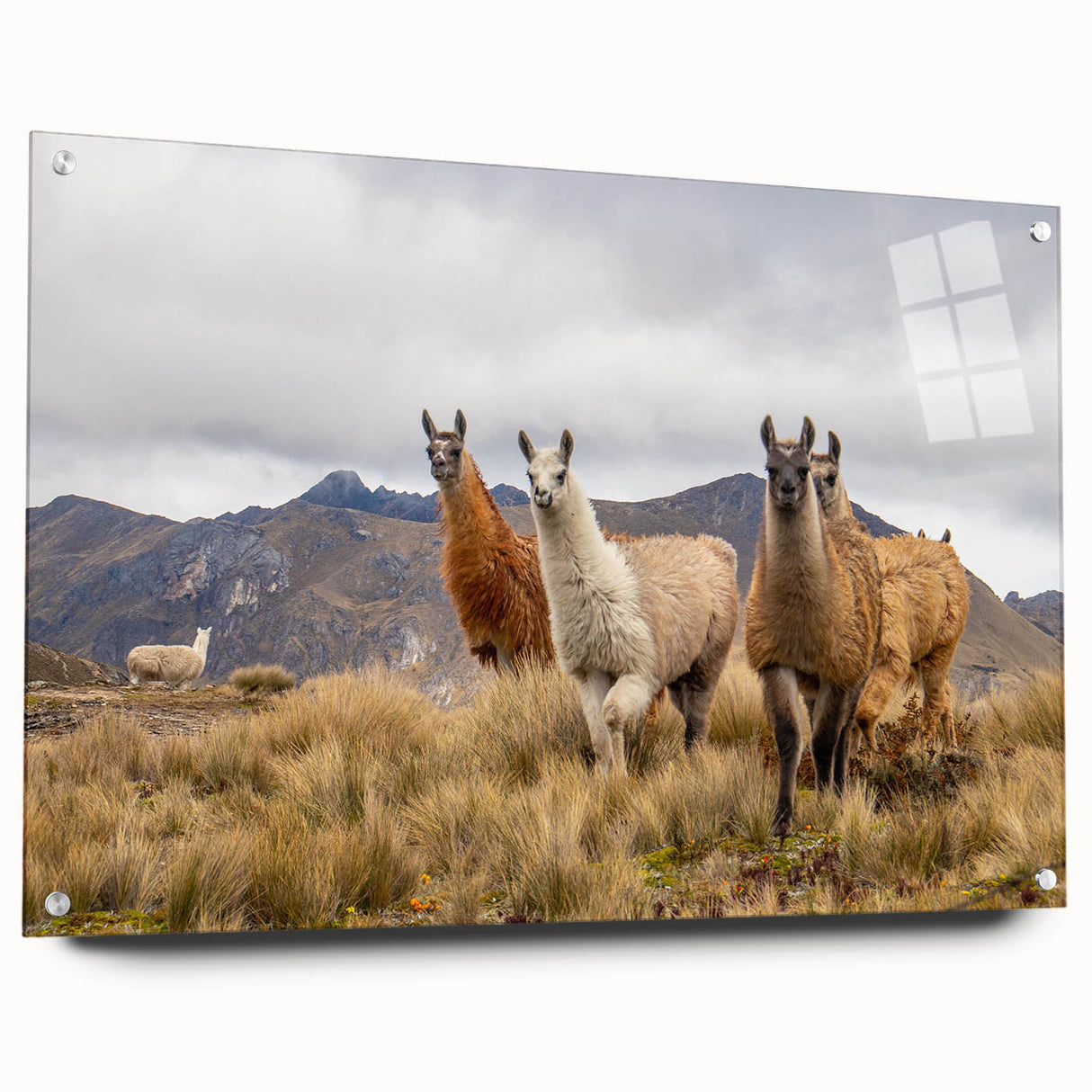 Acrylic print of a South American landscape in muted earth tones, ideal for dining room decor.