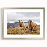 Textured abstract art print of a South American landscape in muted earth tones on a framed silver mat, ideal for bedroom art.