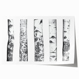 Extra large rolled print of Aspen, Colorado scenery in vibrant autumn colors, ideal for art wall dining room.