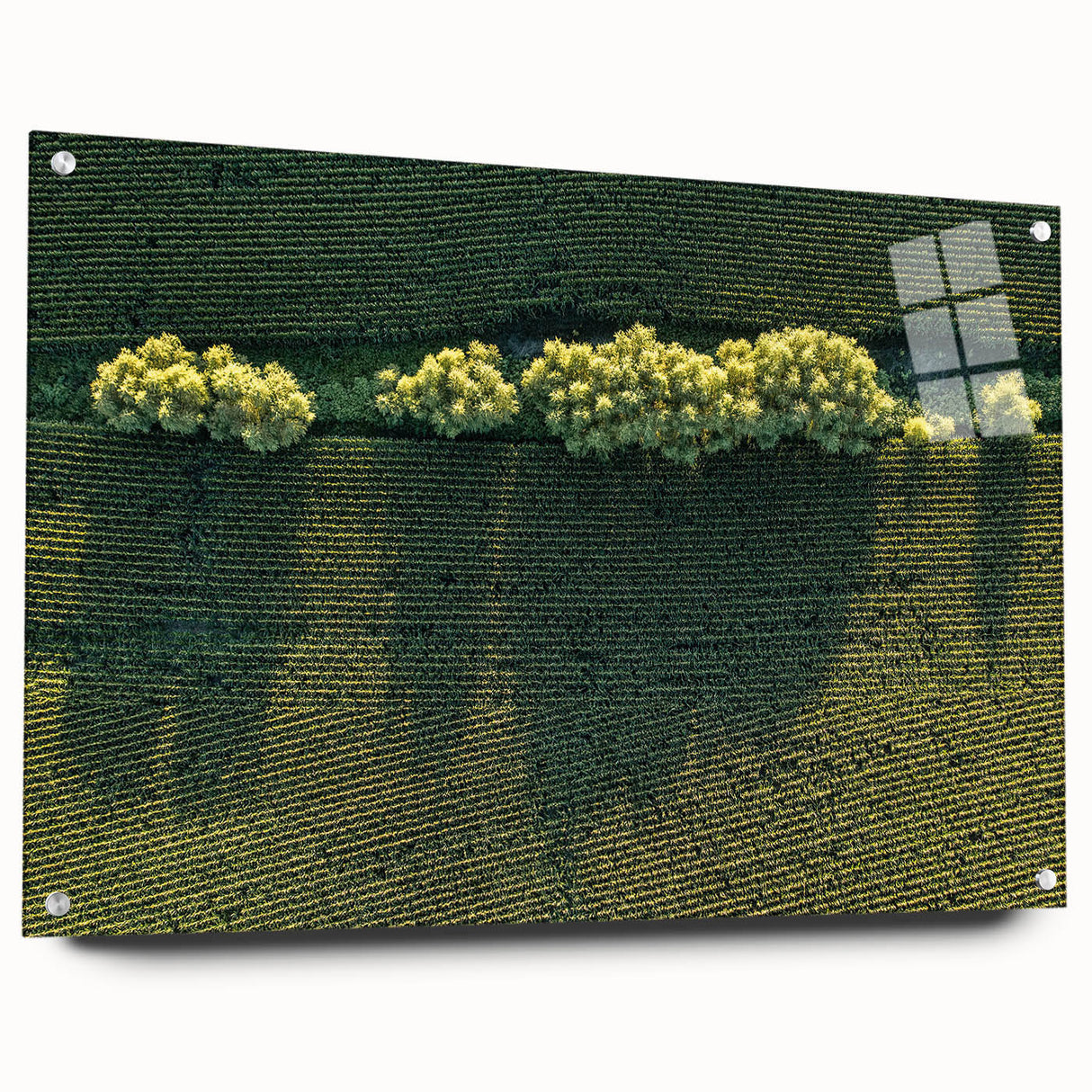 Acrylic print of a large abstract depiction of Iowa scenery in muted earth tones, suitable for bedroom or dining room decor.