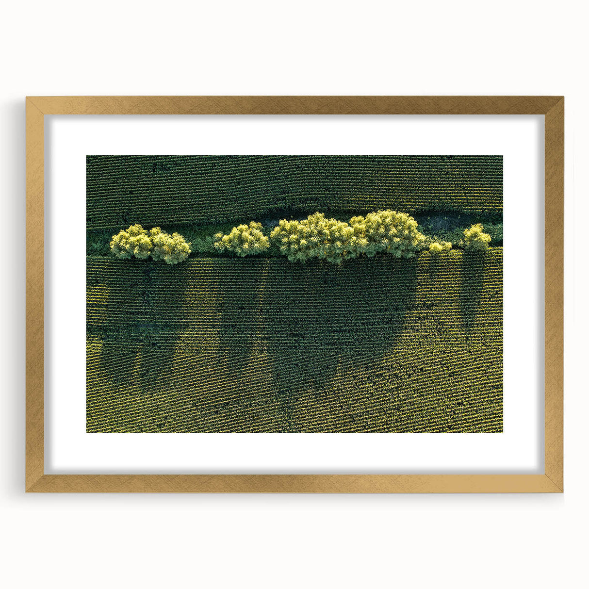 Extra large abstract art print depicting textured Iowa scenery in muted earth tones, framed in gold.