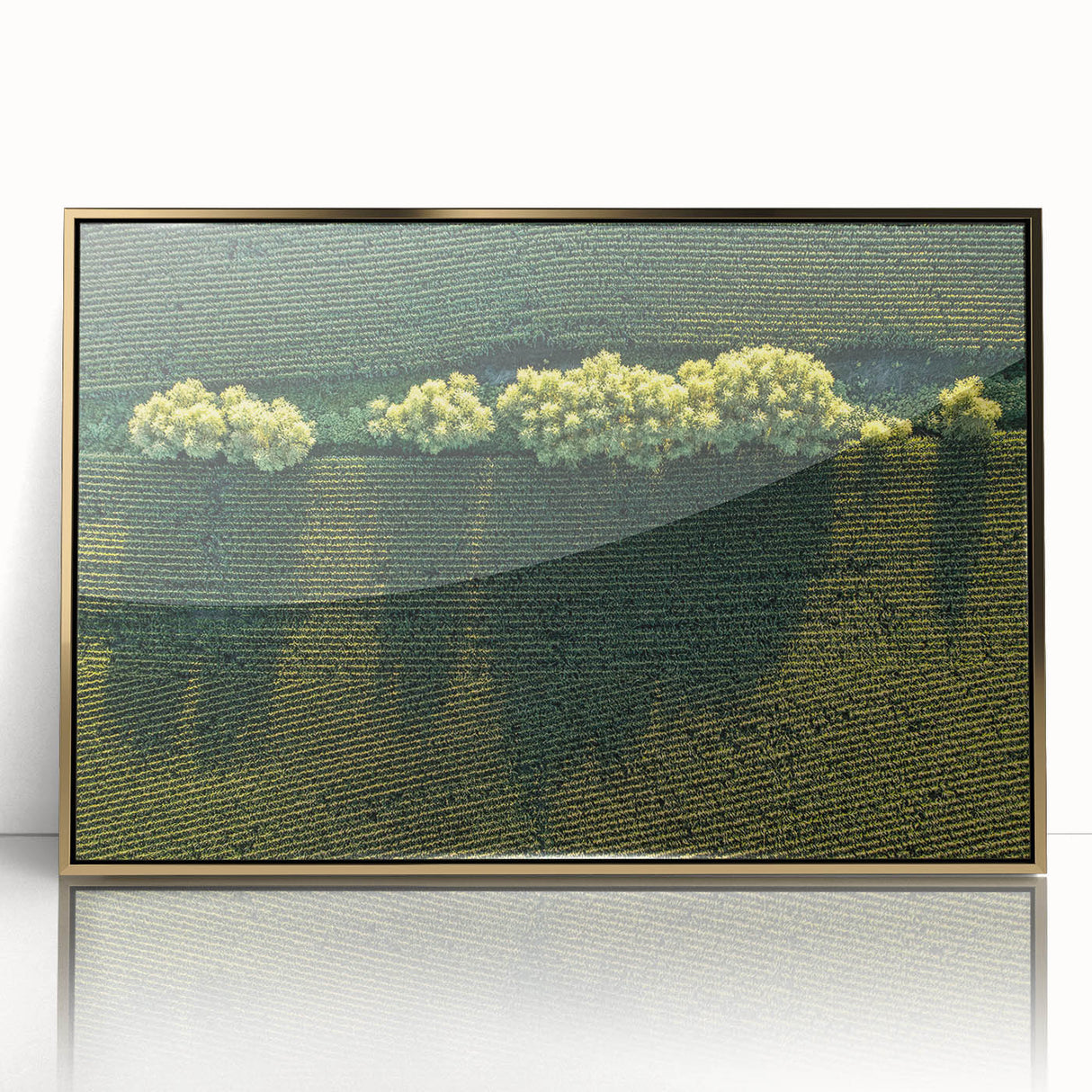 Mid-century modernist acrylic print of Iowa scenery in gold frame, ideal for nursery wall art.