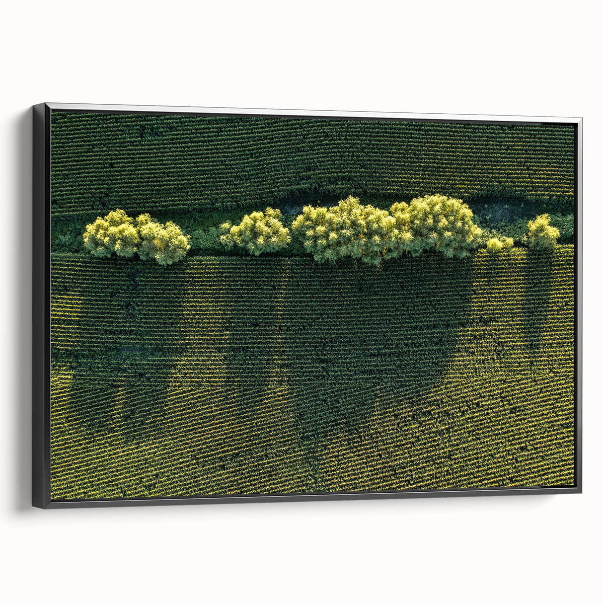 Black and white landscape art painting of Iowa scenery on framed canvas, suitable for bedroom wall decor.