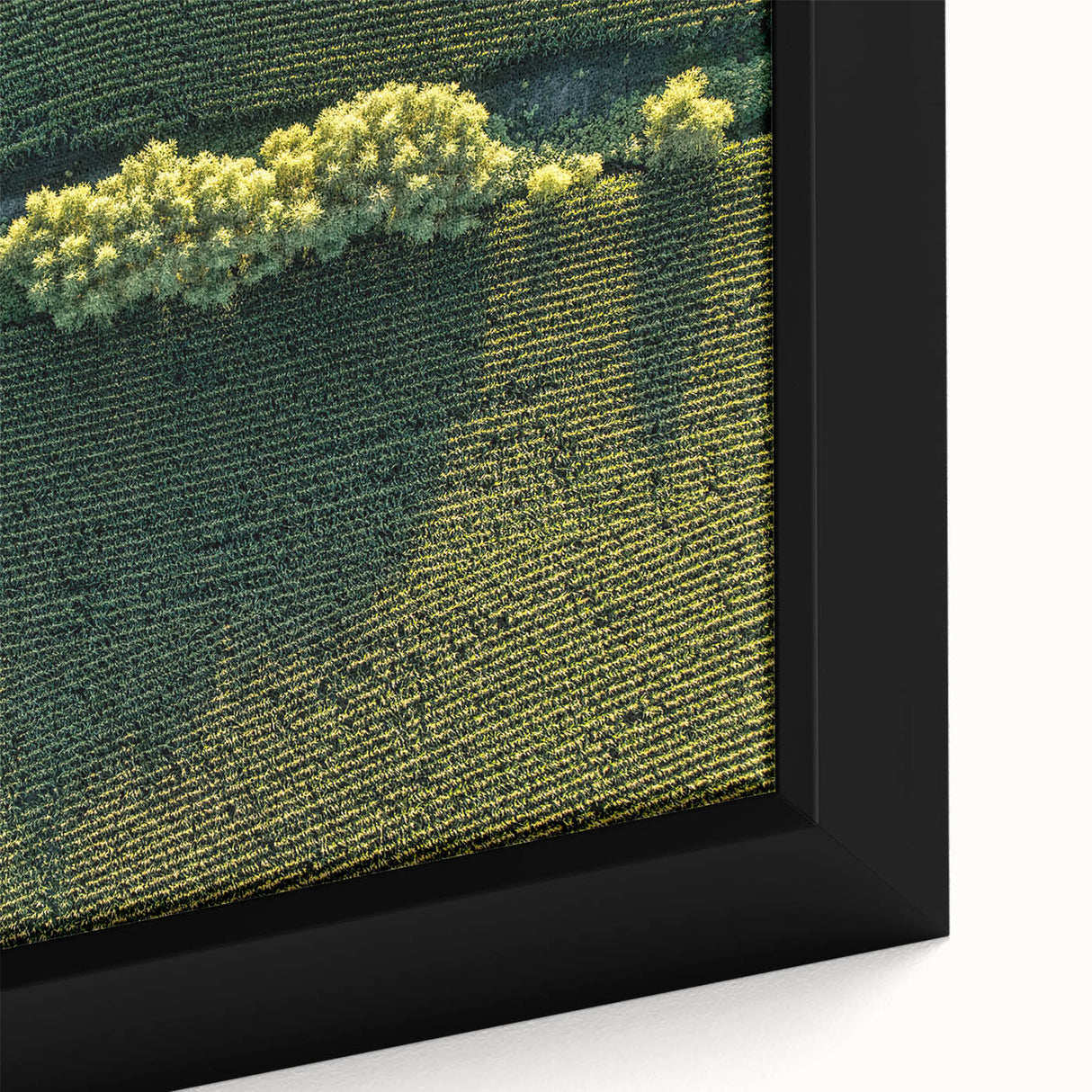 Extra large framed canvas of textured Iowa scenery in black with colorful accents, ideal for living room decor.
