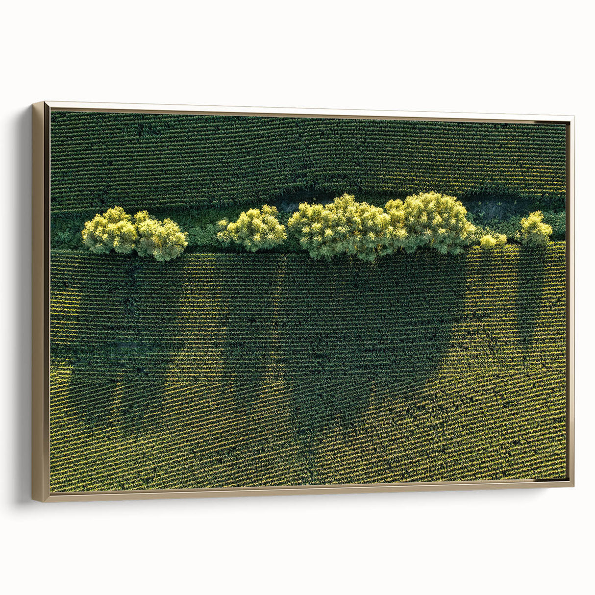 Framed canvas depicting a vintage-style Iowa landscape in muted gold and black tones, ideal for bedroom wall decor.