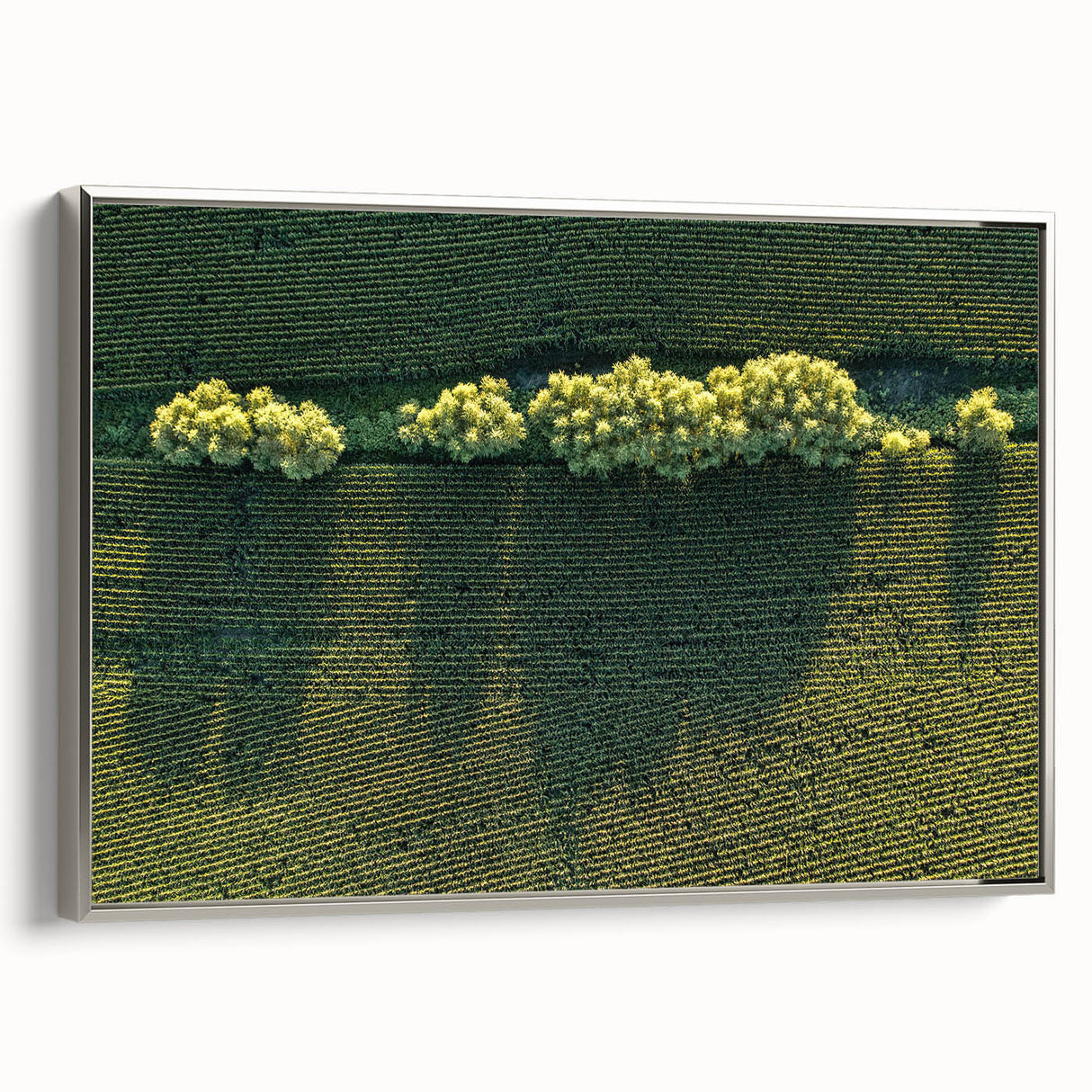 Landscape art painting of Iowa scenery on a framed canvas.
