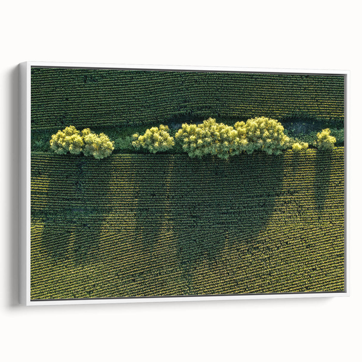 Vintage poster art of Iowa scenery on extra large framed canvas, featuring colorful art on a black background.
