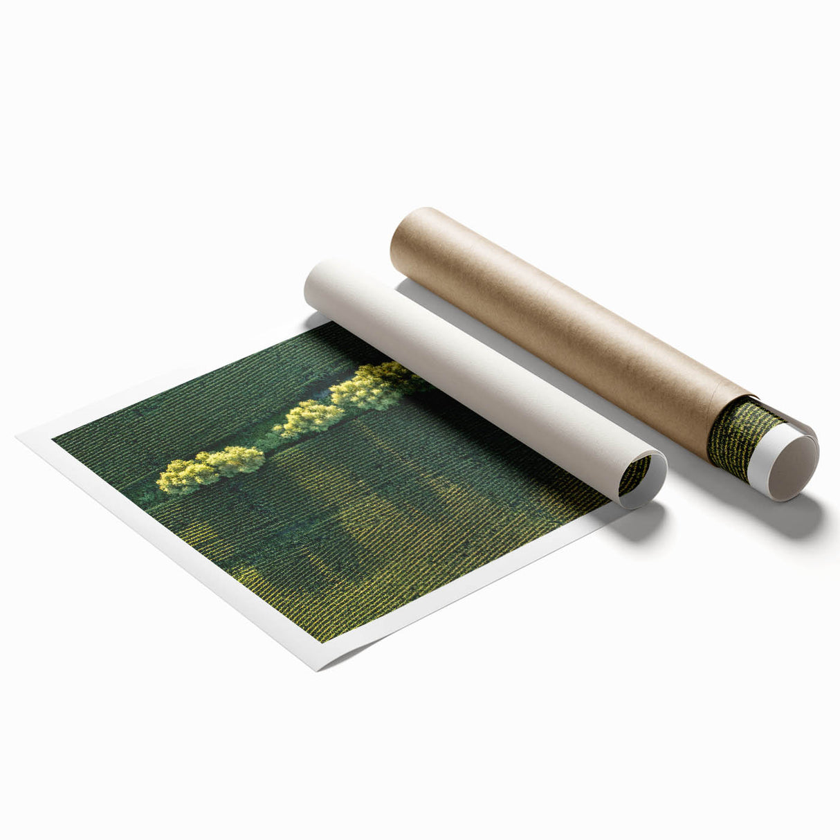 Extra large rolled print depicting a serene Iowa landscape with soft floral elements in pastel shades.
