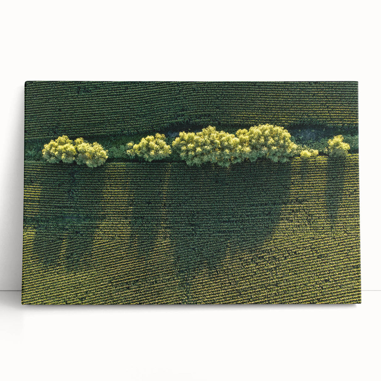Black and white photo of a serene Iowa landscape on a large stretched canvas, ideal for kitchen wall art.
