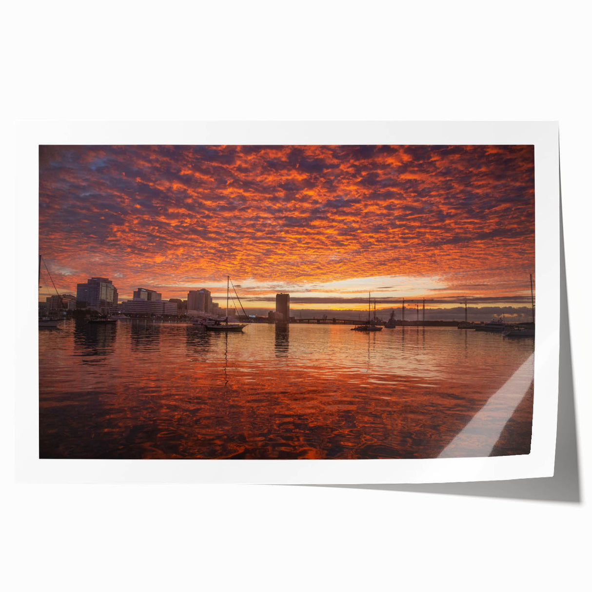 Extra large rolled print featuring a serene Virginia landscape with lush greenery and floral elements.