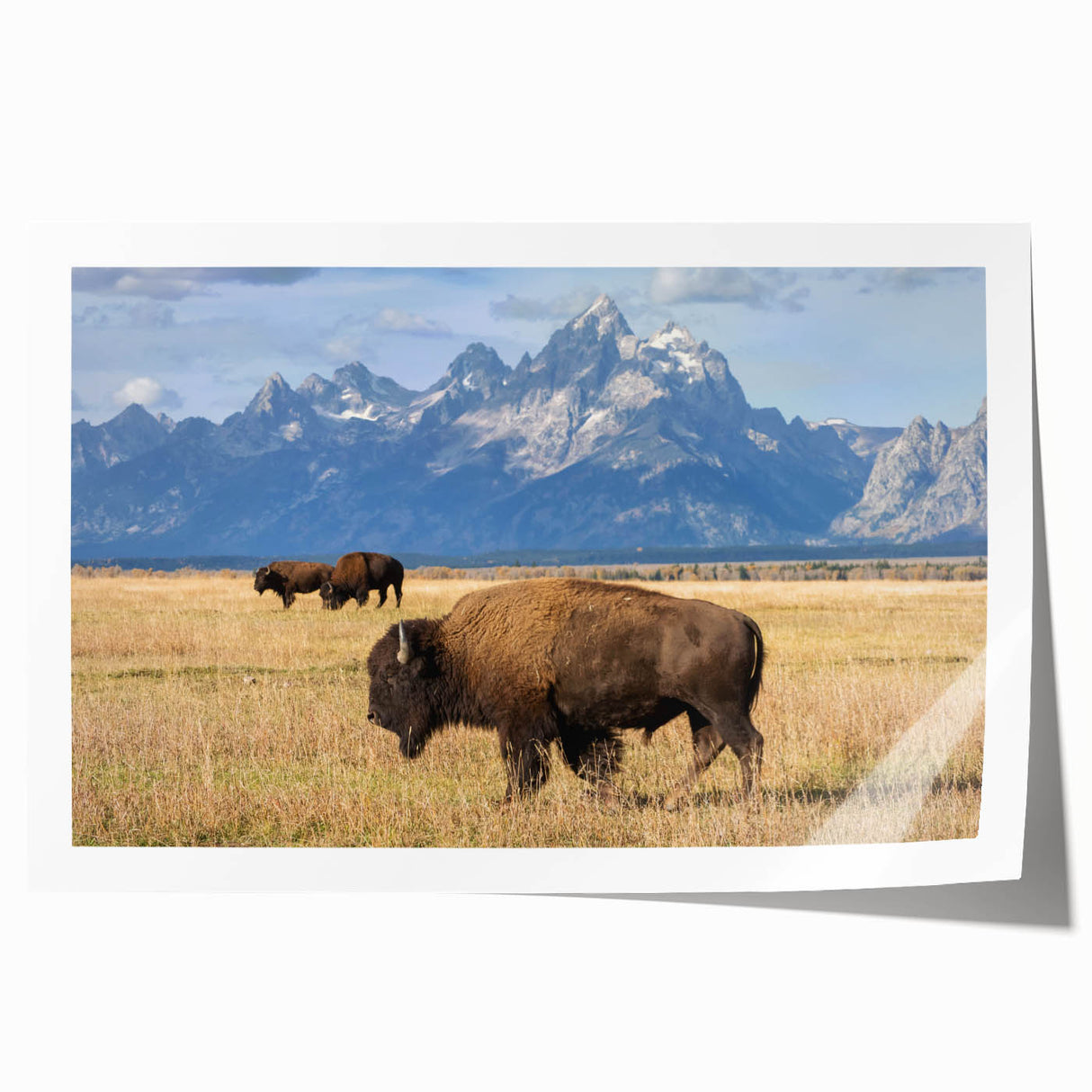 Grand Tetons landscape on rolled print, featuring muted earth tones, ideal for art wall dining room.