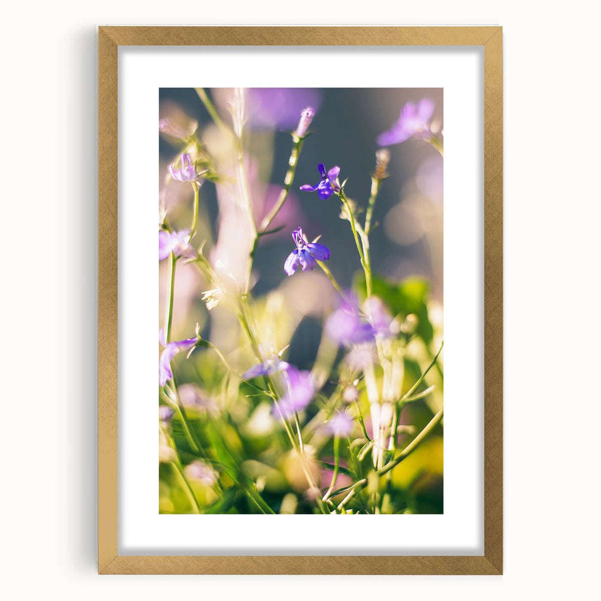 Extra large abstract art print featuring textured swirls in spring colors on a gold-framed canvas.