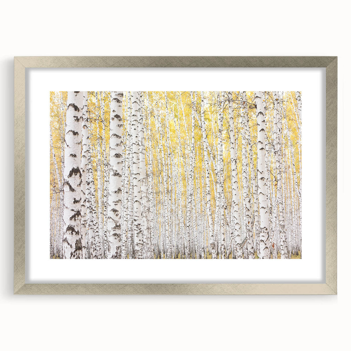 Abstract floral frame with a silver mat showcasing vibrant, colorful blooms and intricate details, perfect for enhancing modern home decor and wall art displays.