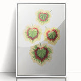 Classic Romantic Paintings: Pelargonium Zonale Art Print