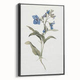 Framed abstract floral canvas artwork showcasing vibrant colors against a black background, emphasizing elegance and modern decor. Perfect for enhancing interiors.