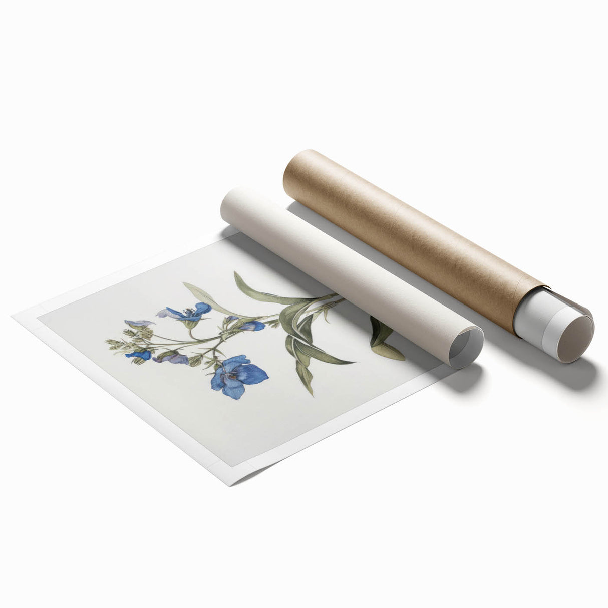 Vibrant abstract floral rolled print showcasing bold colors of pink, blue, and green, elegantly packed in a protective cardboard tube for art enthusiasts.