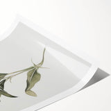 Abstract floral rolled print showcasing vibrant colors and intricate designs, elegantly packaged in a protective cardboard tube for easy display and transport.