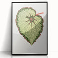 Famous Romantic Era Art: Green Begonia Rex Canvas Print