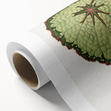 Famous Romantic Era Art: Green Begonia Rex Canvas Print