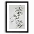 Abstract floral wall art framed in black with a mat, showcasing vibrant colors and intricate designs, perfect for modern home decor accentuating elegance.
