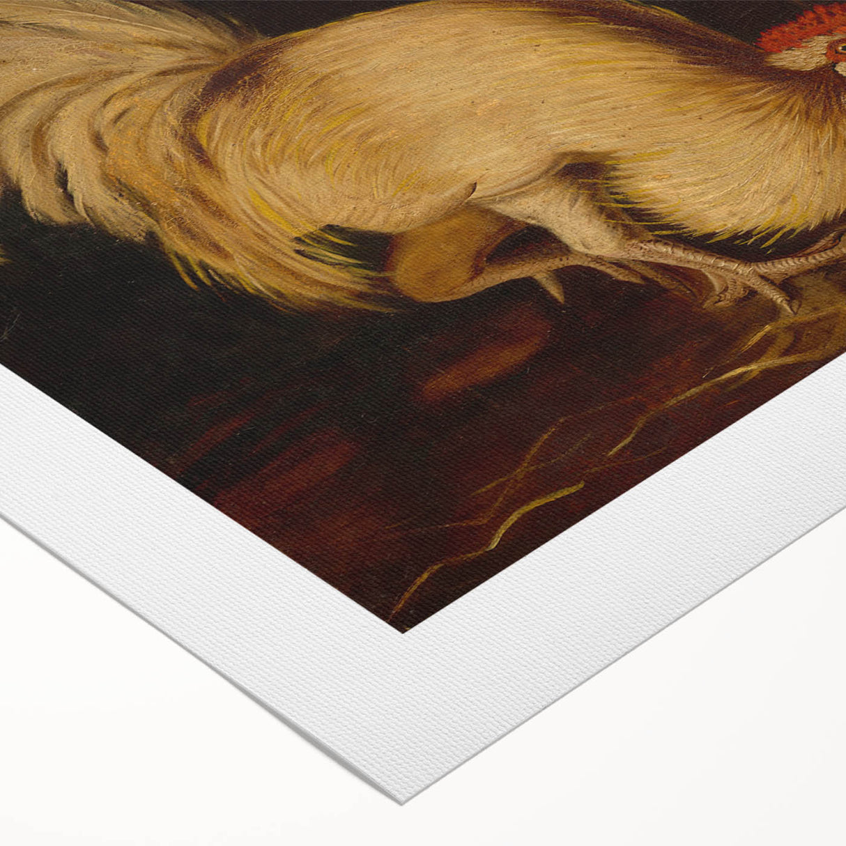 Classic Romantic Paintings: Farmyard Fowls by John James Audubon