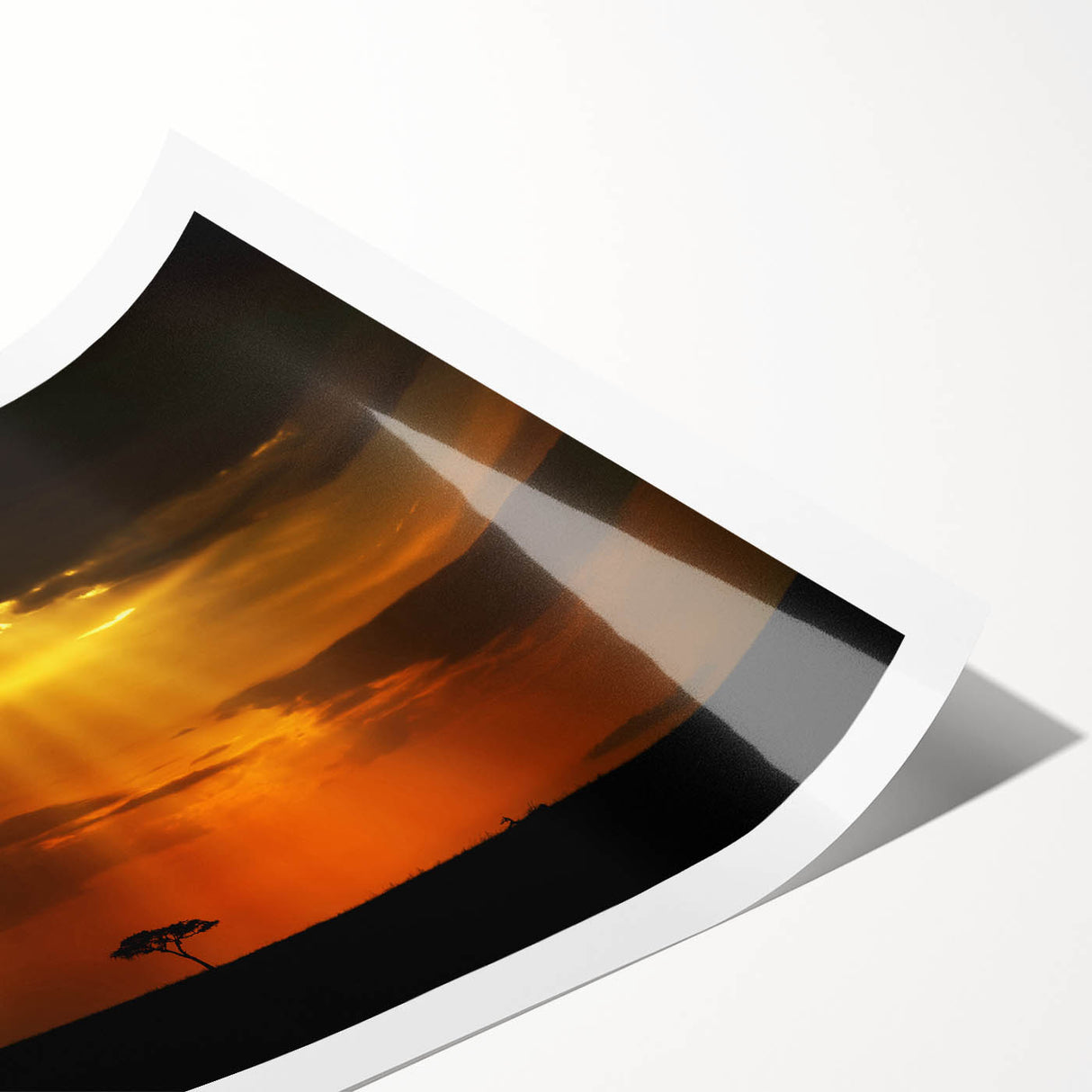 Extra large rolled print depicting a Kenyan scenery with line art flowers in muted earth tones.