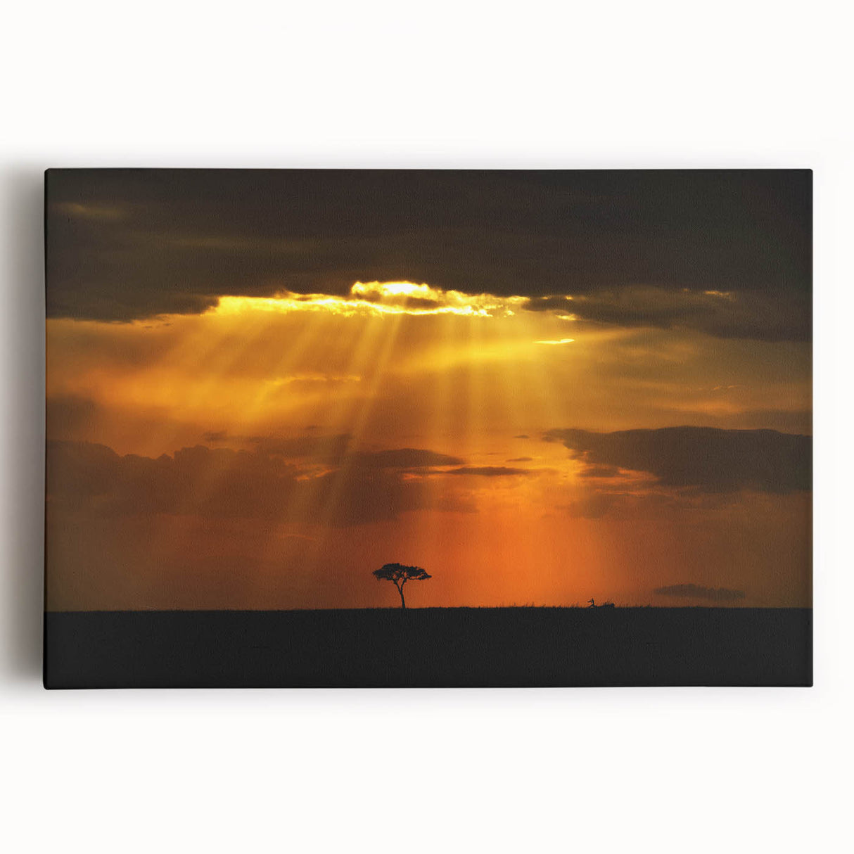 Black and white stretched canvas of African scenery, ideal for kitchen wall art.