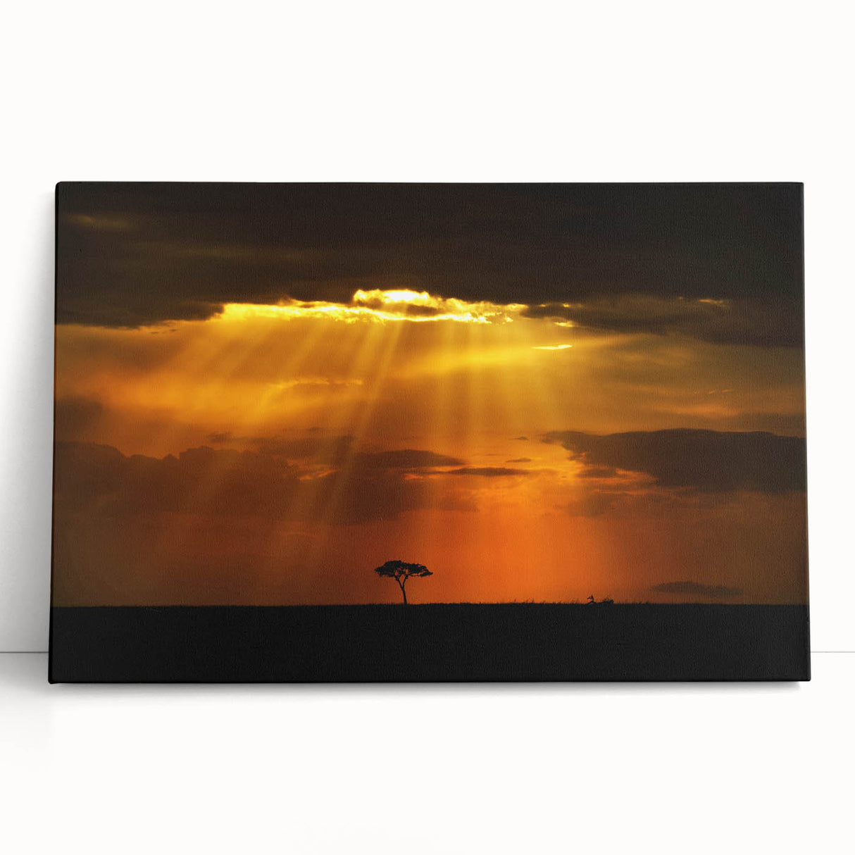 Black and white stretched canvas featuring African savannah scenery, ideal for kitchen wall art or bedroom.