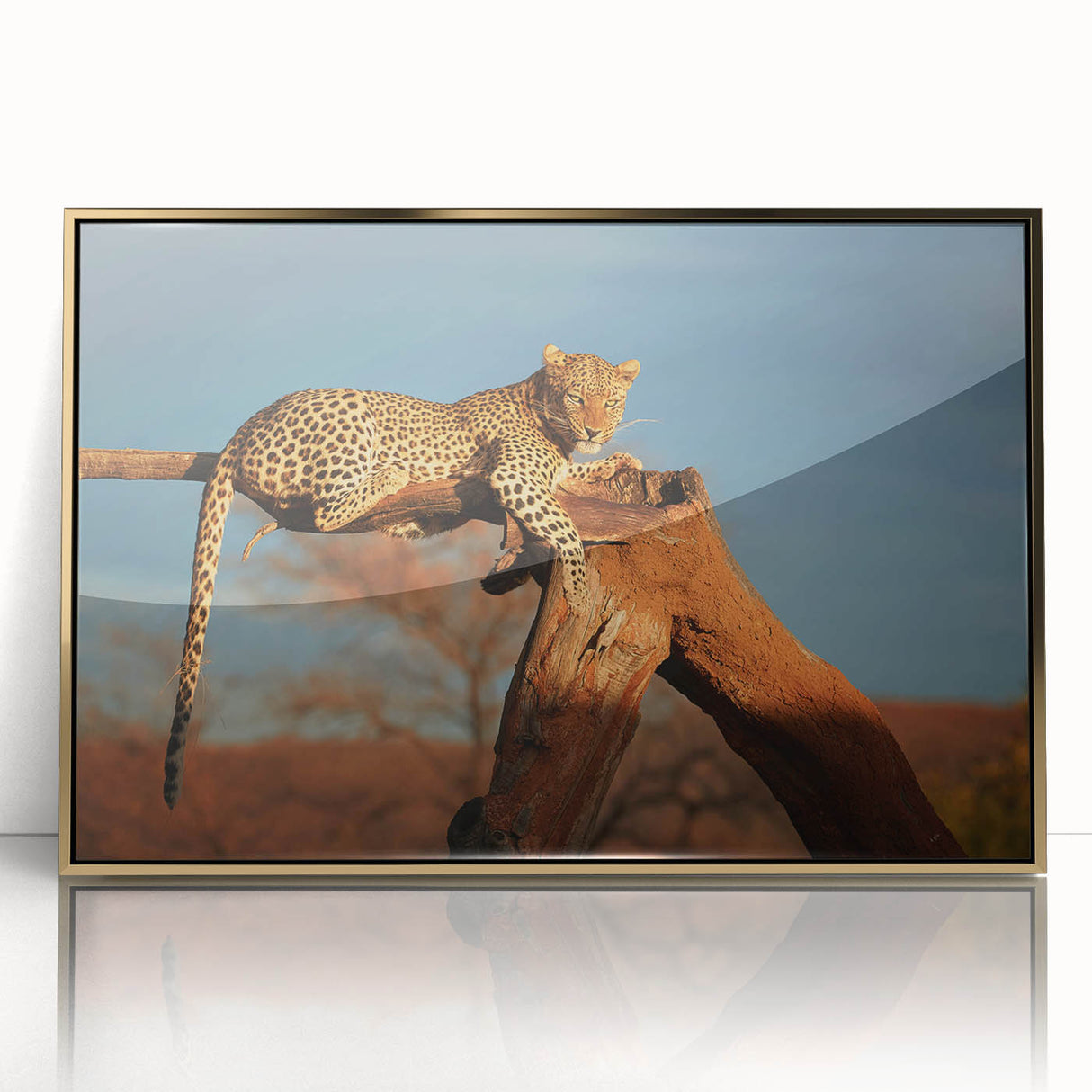 Mid-century modernist art depicting the Namibian landscape in muted earth tones on a framed acrylic.