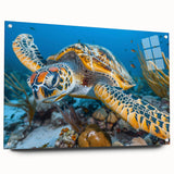 Large abstract wall art of Seychelles scenery on acrylic glass, featuring vibrant blue and green tones.