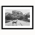 Extra large framed abstract art print featuring a vibrant, textured depiction of a Sri Lankan scenery.