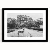 Extra large framed abstract art print featuring a vibrant, textured depiction of a Sri Lankan scenery.