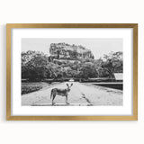 Extra large wall art featuring an abstract textured print of a Sri Lankan scenery in a gold frame.
