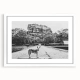 Abstract art print of a Sri Lankan landscape in muted green and blue tones on a framed white mat.