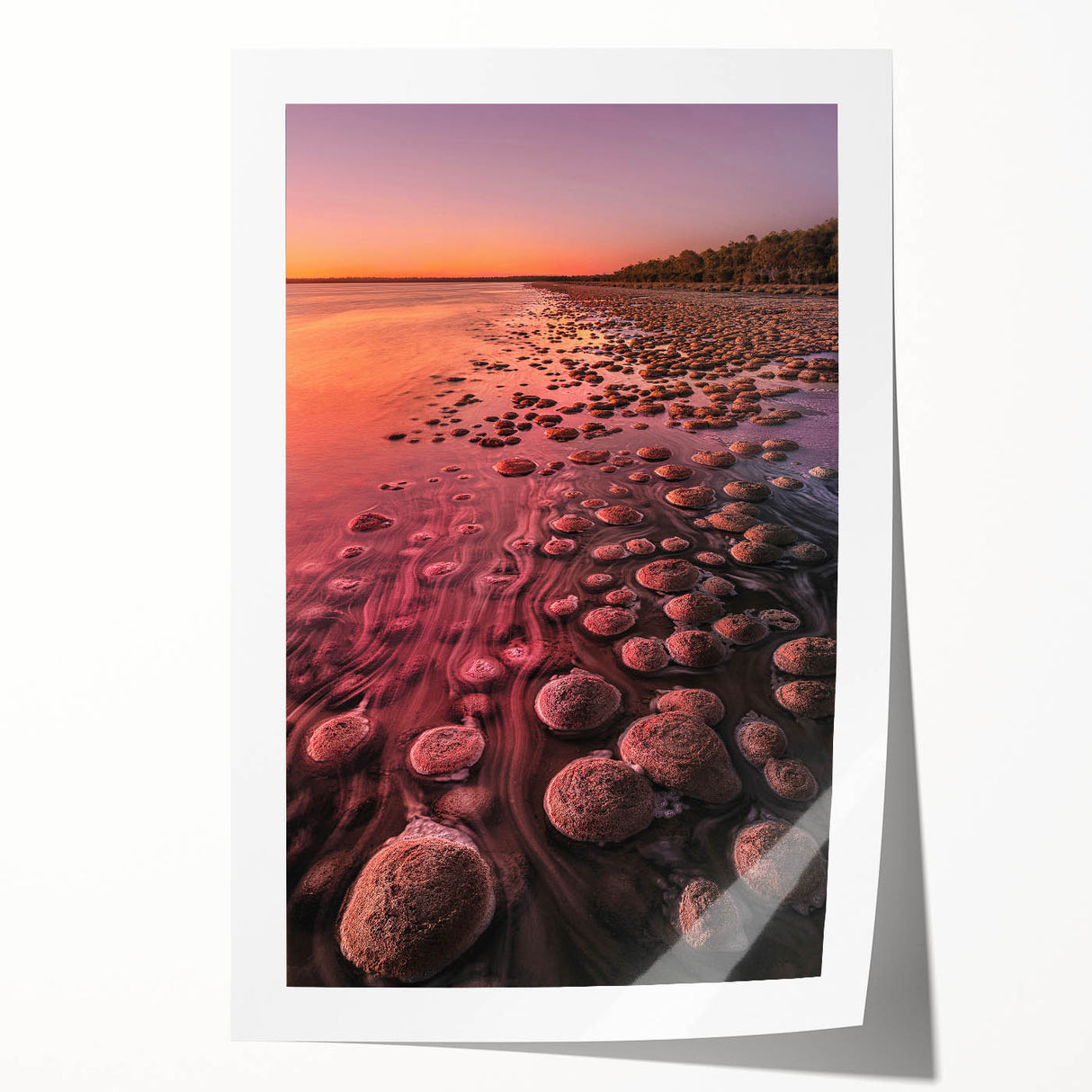 Extra large rolled print of Perth scenery in muted earth tones, ideal for art wall dining room.