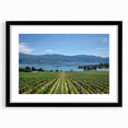 Extra large textured abstract art print of a colorful British Columbia scenery on a framed canvas.