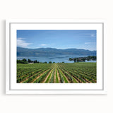 Abstract art print of a British Columbia landscape in muted green and blue tones, framed with a white mat.