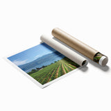 Rolled print of British Columbia scenery with vibrant green and blue tones, suitable as large living room wall art.