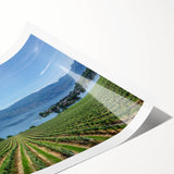 Extra large wall art featuring line art flowers in muted gray, ideal for large living room decor.