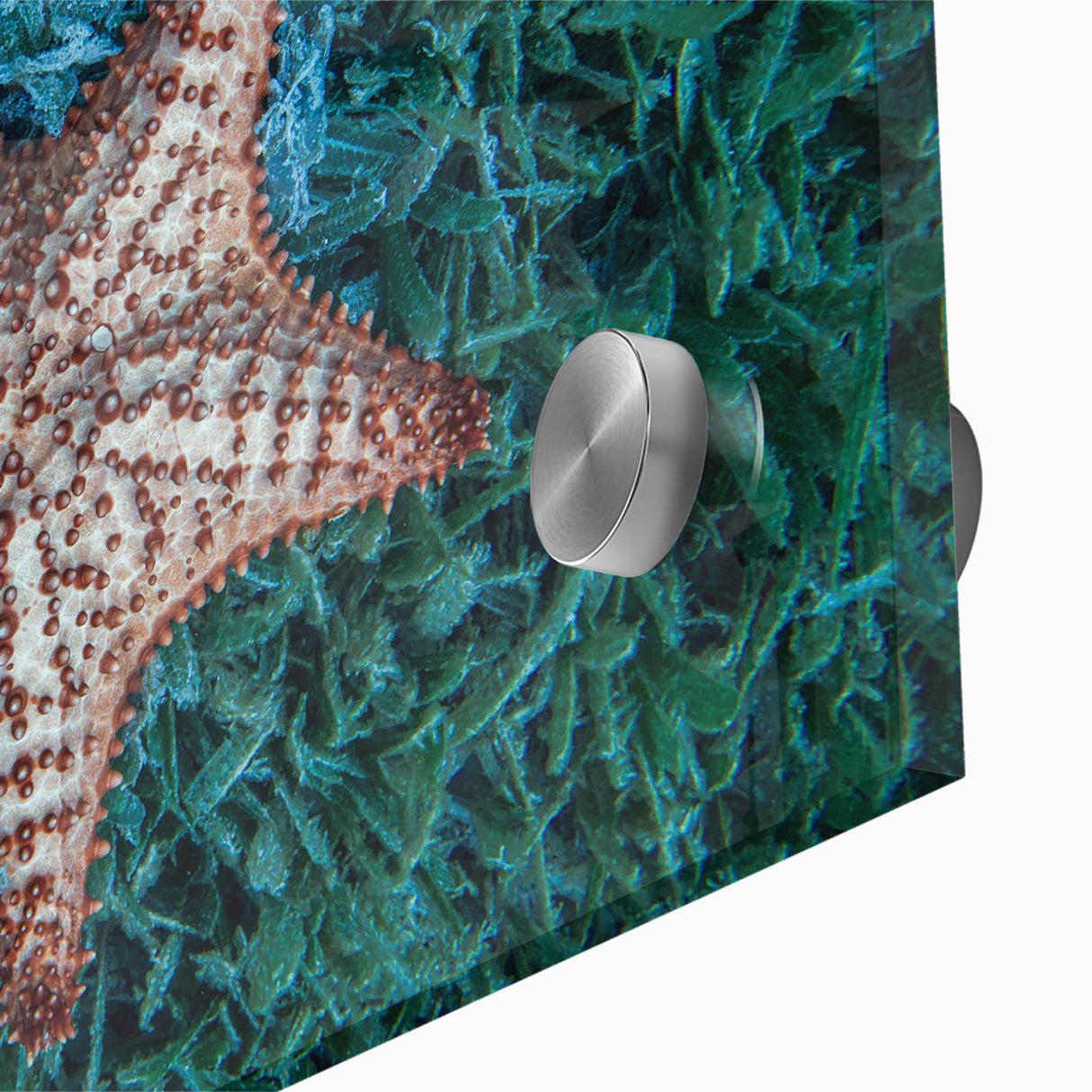 Large abstract wall art depicting a Caribbean Martinique scenery in mid-century modernist style on acrylic glass.