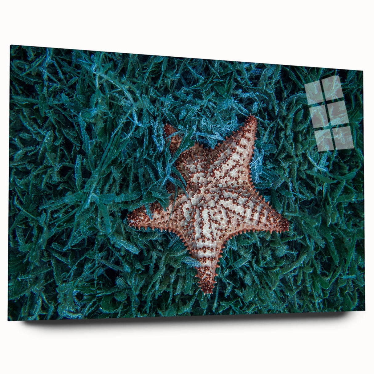 Large abstract wall art depicting Caribbean scenery on acrylic glass, featuring vibrant blue and green tones.