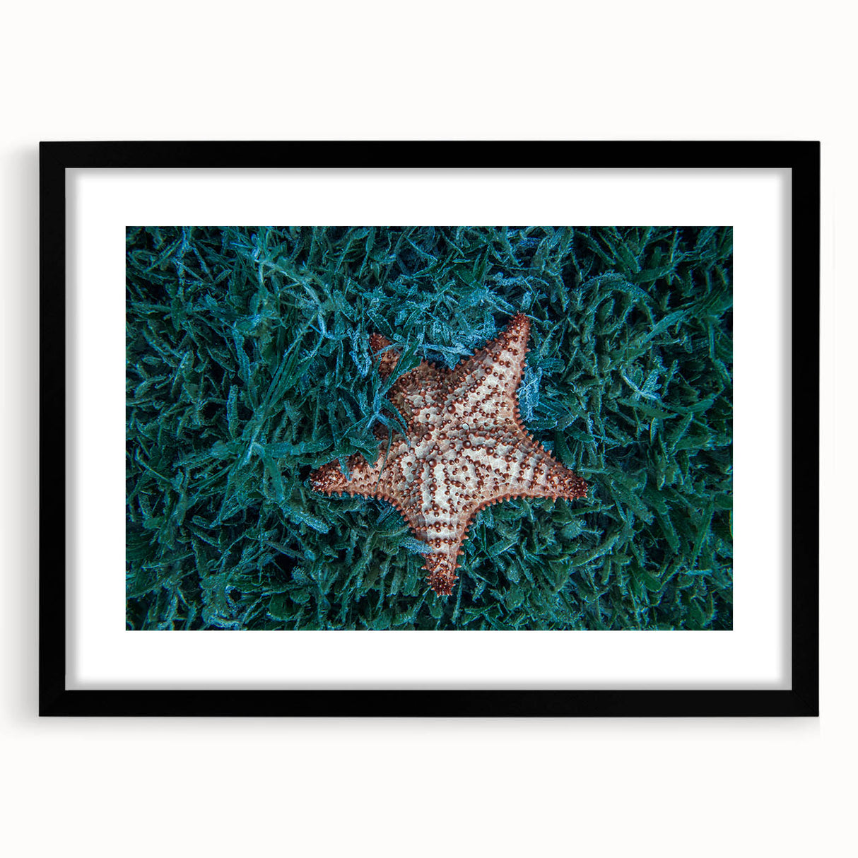 Colorful abstract art print of Caribbean scenery in vibrant hues on a large textured canvas, framed in black.