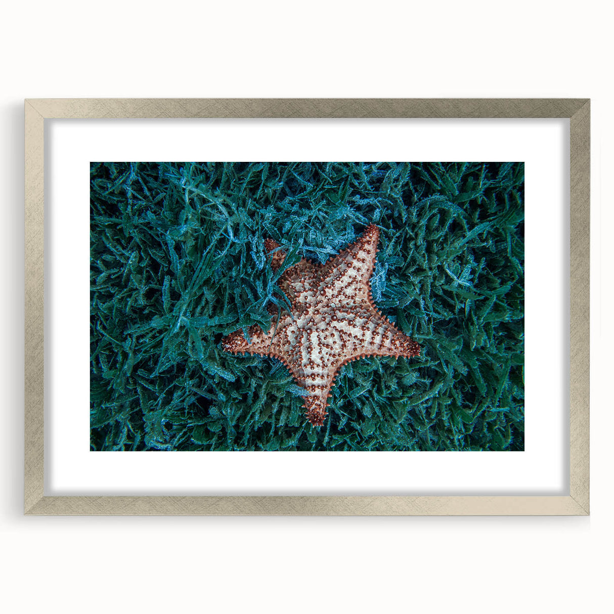 Extra large abstract art print of Caribbean scenery in muted blues and greens on a textured canvas, framed in silver.