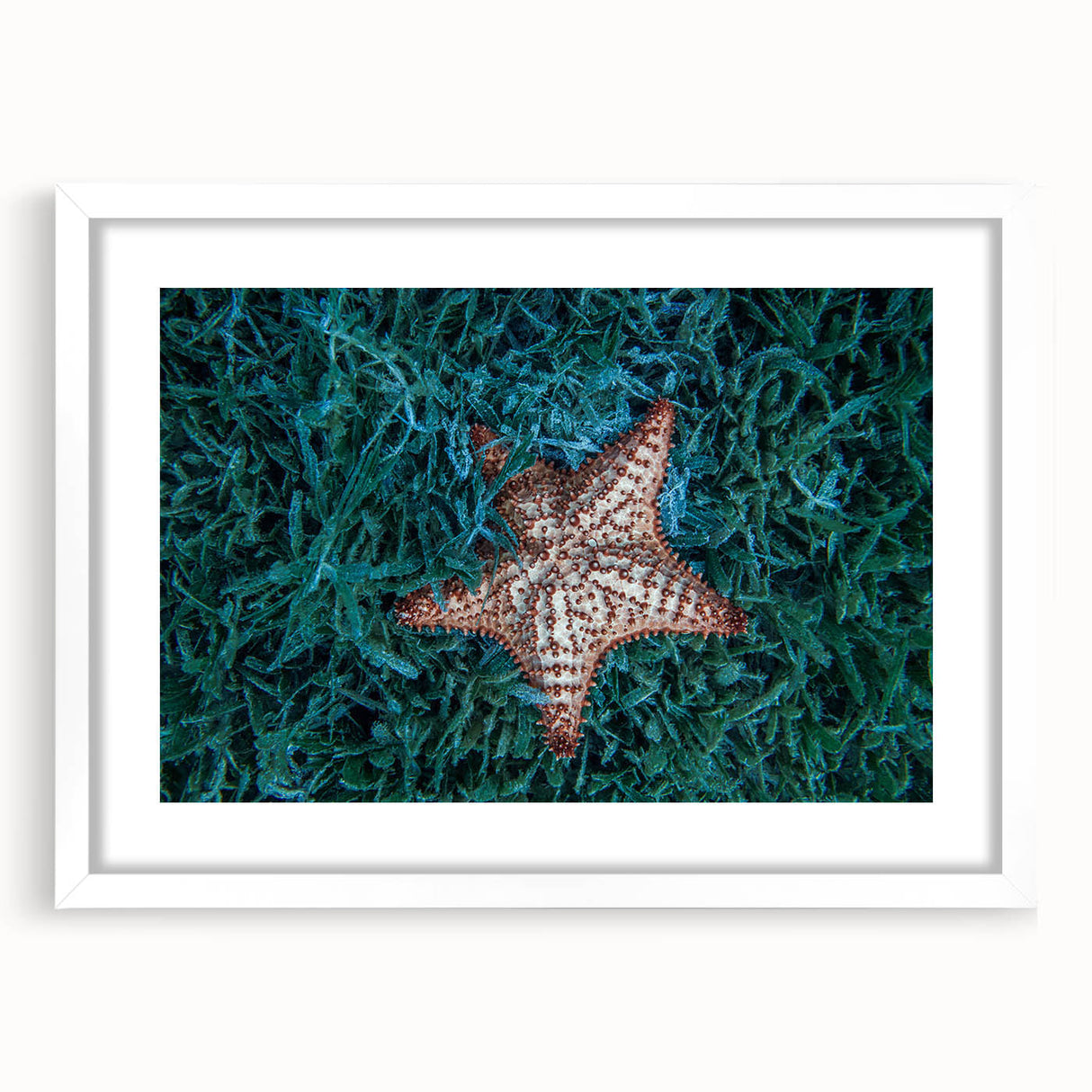 Textured art print of an abstract Caribbean seascape in muted blue and green tones, framed with a white mat.