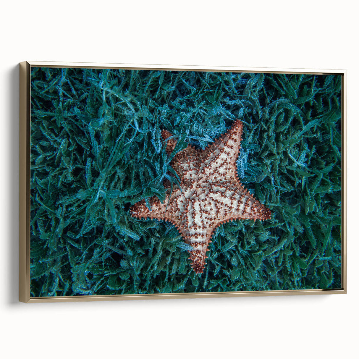 Framed canvas wall art depicting a vintage-style Caribbean landscape in muted gold and black tones.