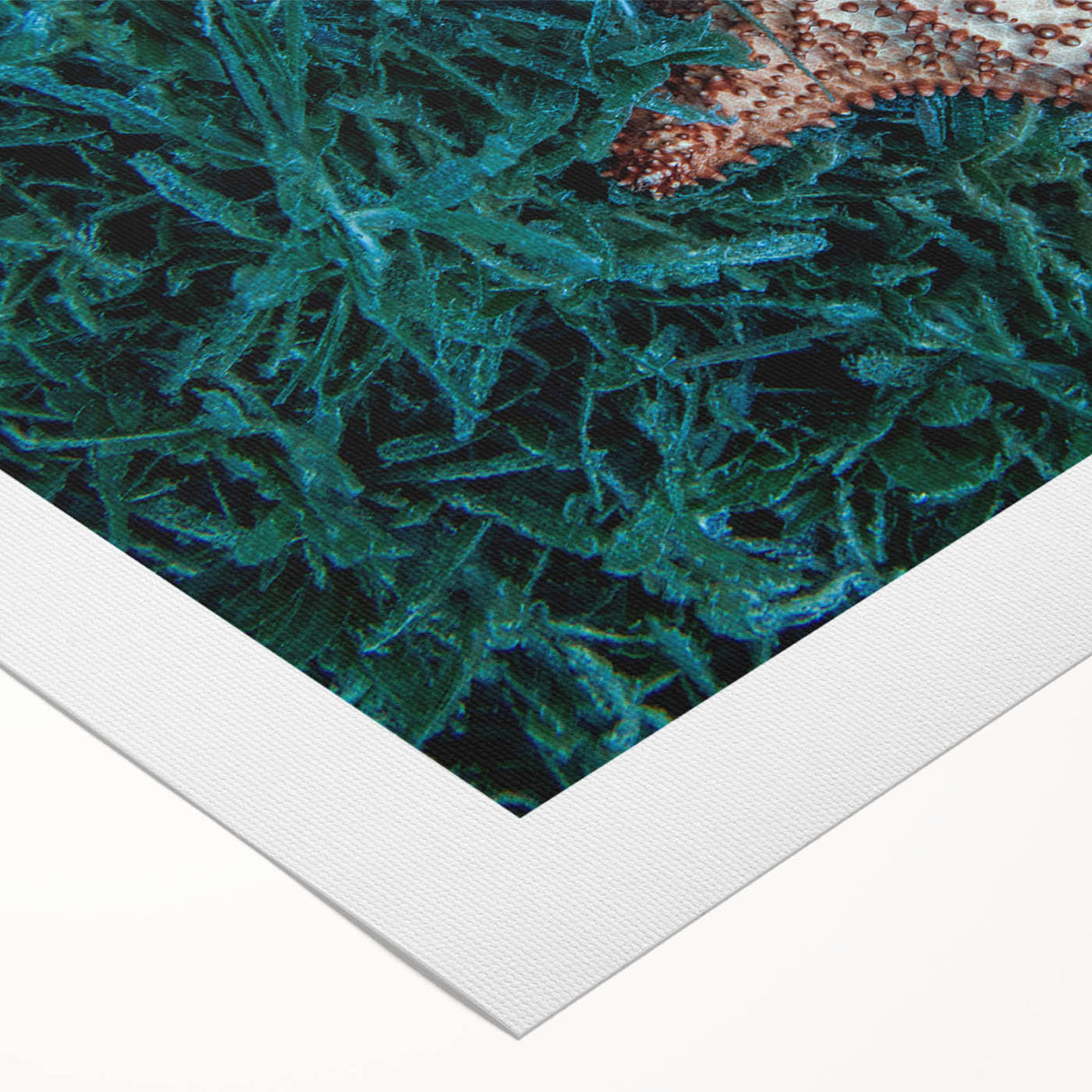 Art deco poster featuring a serene Caribbean scenery on rolled canvas, suitable for dining room or bathroom.